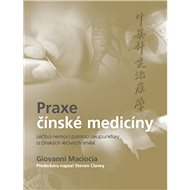 Praxe čínské medicíny - Giovanni Maciocia