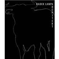 Radek Lampa architekt - Radek Lampa