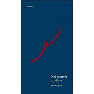 Než se moře zdvihne - Jakub Stejskal