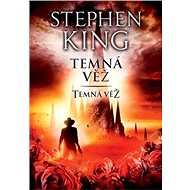 Temná věž: Temná věž VII. - Stephen King