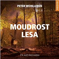 The wisdom of the forest - CD Audiobooks