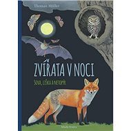 Zvířata v noci: Sova, liška a netopýr - Thomas Müller