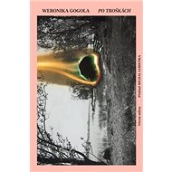 Po troškách - Weronika Gogola