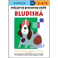 Môj prvý pracovný zošit Bludiská - Giovanni K. Moto; Toshihiko Karakida; Yoshiko Murakami