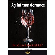 Agilní transformace: Proč bývá tak křehká? - Anton Březina