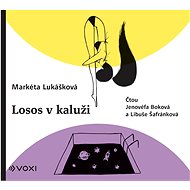 Salmon in a puddle - CD Audiobooks