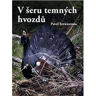 V šeru temných hvozdů - Pavel Sztwiertnia