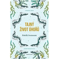 Tajný život úhořů - 
