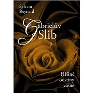 Gabrielův slib: Hříšné odstíny vášně - Sylvain Reynard