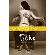 Ticho: Kriminální román - Sára Saudková