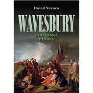 Wavesbury Indiánské Vánoce - David Návara
