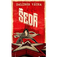 Šedá - Dalibor Vácha