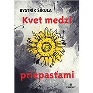 Kvet medzi priepasťami - Bystrík Šikula