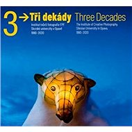 Tři dekády / Three Decades - Vladimír Birgus