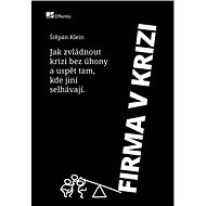 Firma v krizi - Štěpán Klein