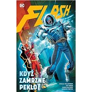 Flash 6 Když zamrzne peklo - Joshua Williamson; Michael Moreci