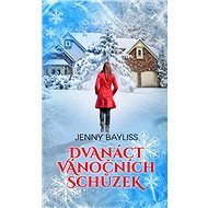 Dvanáct vánočních schůzek - Jenny Bayliss