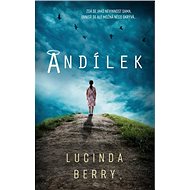 Andílek - Lucinda Berry