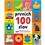 Prvních 100 slov - 