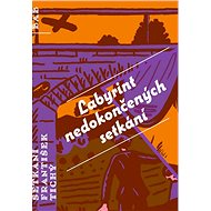 Labyrint nedokončených setkání - František Tichý