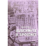 Auschwitz a spojenci - Martin Gilbert