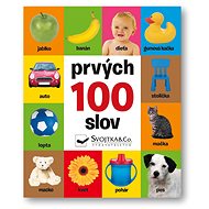 Prvých 100 slov - 