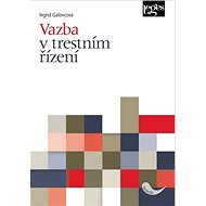 Vazba v trestním řízení - Ingrid Galovcová