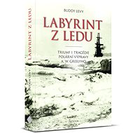 Labyrint z ledu - Buddy Levy