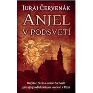 Anjel v podsvetí: Kapitán Stein a notár Barbarič pátrajú po diabolskom vrahovi v Plzni - Juraj Červenák