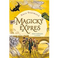 Magický expres Mezi světlem a stíny - Anca Sturmová