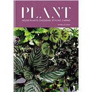 Plant: House plants: choosing, styling, caring - Gynelle Leon