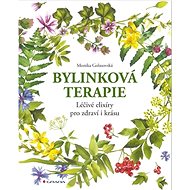 Bylinková terapie: Léčivé elixíry pro zdraví i krásu - Monika Golasovská