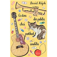 Cestou do pekla chci potkat anděla - David Hájek