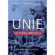 Unie ve stínu brexitu - Tomáš Břicháček
