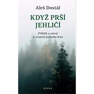 Když prší jehličí - Aleš Dostál