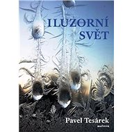 Iluzorní svět - Pavel Tesárek