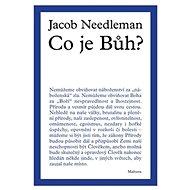 Co je Bůh? - Jacob Needleman
