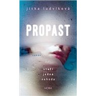 Propast: Stačí jedna nehoda - Jitka Ludvíková