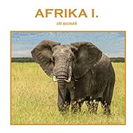 Afrika I. - Jiří Bednář