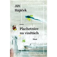 Plachetnice na vinětách - Jiří Hájíček