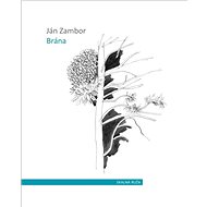 Brána - Ján Zambor