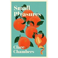 Small Pleasures - Clare Chambers