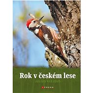 Rok v českém lese - 