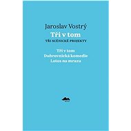 Tři v tom: Tři scénické projekty - Jaroslav Vostrý