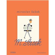 Miroslav Šašek - Martin Salisbury