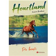Heartland Po bouři  - Lauren Brooke