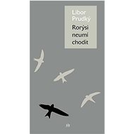Rorýsi neumí chodit - Libor Prudký