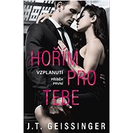 Hořím pro tebe  - T.J. Geissinger