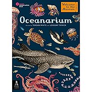 Oceanarium - 