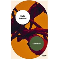 Odkiaľ si - Saša Stanišić